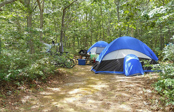 Premium Primitive Tent